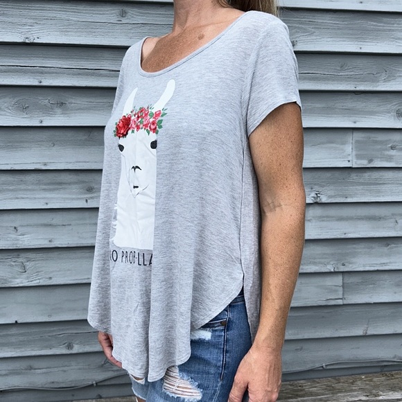Alya Francesca’s |‎ “NO PROB-LLAMA” T-shirt Tunic 3D Floral Appliqué Gra… - Picture 3 of 9